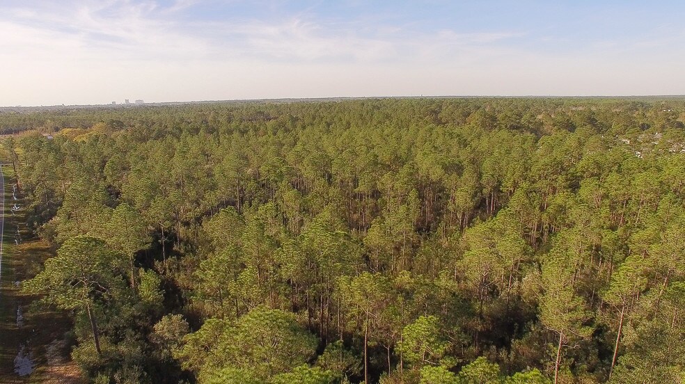 More Photos Of 14085 Lamey Bridge Rd, D'Iberville Land For Sale