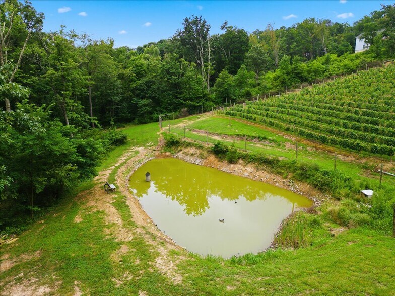 More Photos Of 1309 Redland Rd, Cross Junction Winery Vineyard For Sale