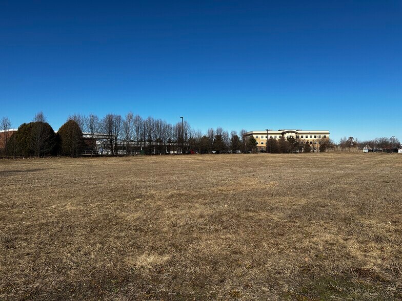 More Photos Of 721 Crimson Ln, Yorkville Land For Sale