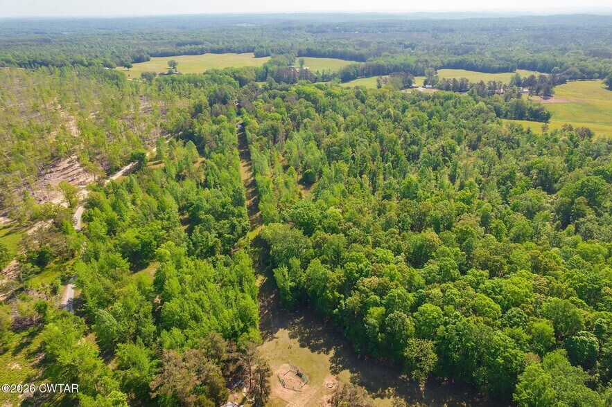 More Photos Of 9402 Brooksie Thompson Rd, Bath Springs Land For Sale