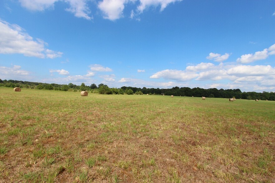 More Photos Of 278 Highway 64 E, Conway Land For Sale