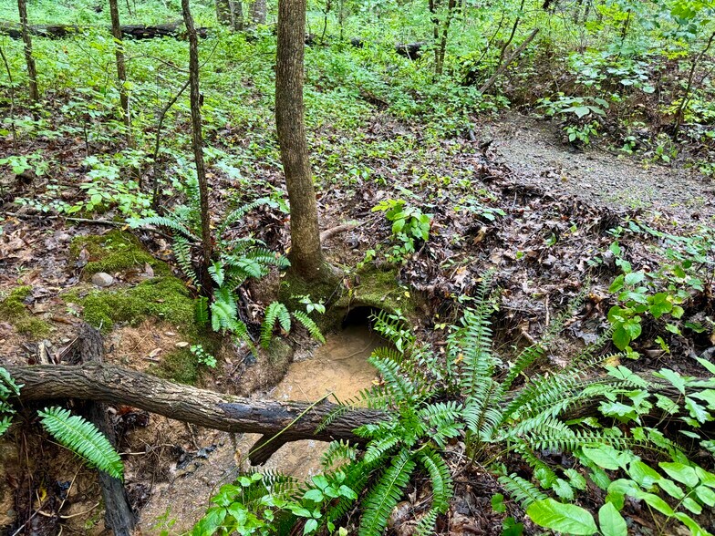 More Photos Of 3901 Old NC 86, Hillsborough Land For Sale