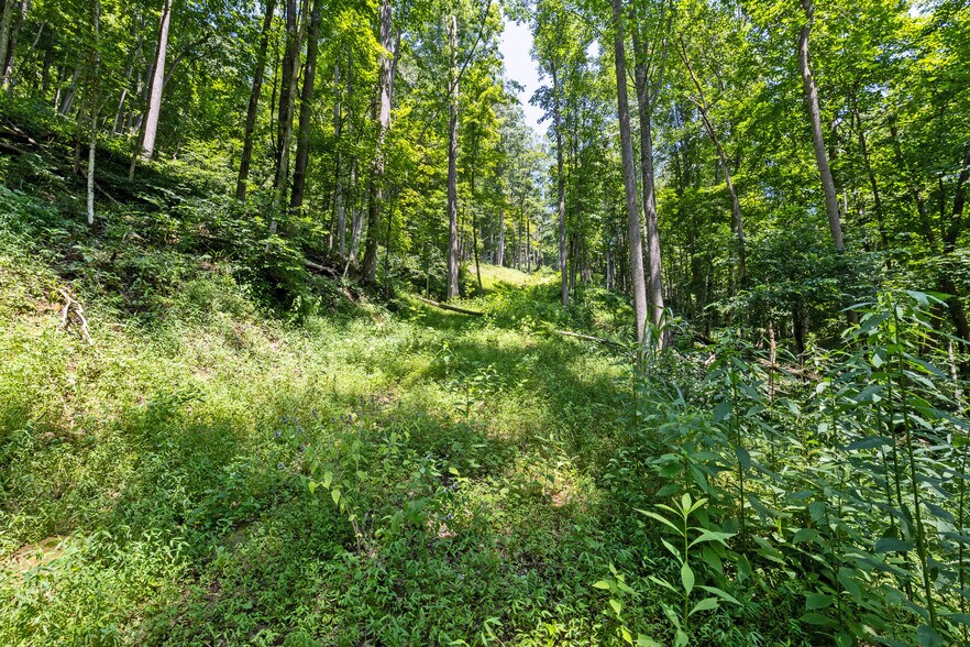 More Photos Of 24272 CONRAD Rd, Laurelville Land For Sale