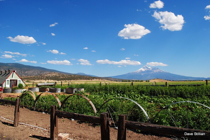 More Photos Of 3104 Harry Cash Rd, Montague Land For Sale