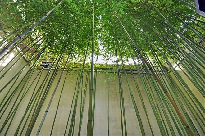 More Photos Of 411 Kent Ave, Brooklyn Storefront Retail Office For Sale