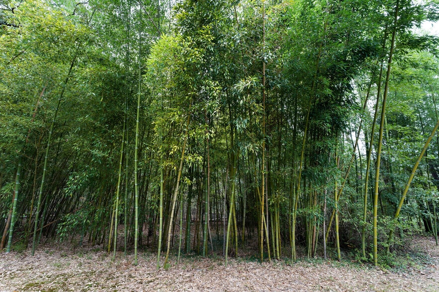 More Photos Of 79 Floyd Rd SW, Cartersville Land For Sale