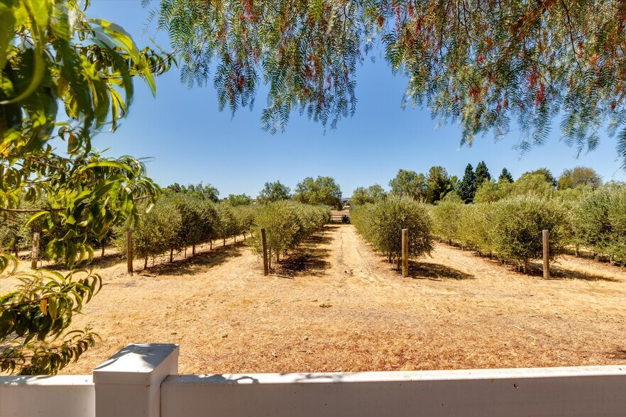 More Photos Of 5055 Rancho La Loma Linda Dr, Paso Robles Specialty For Sale