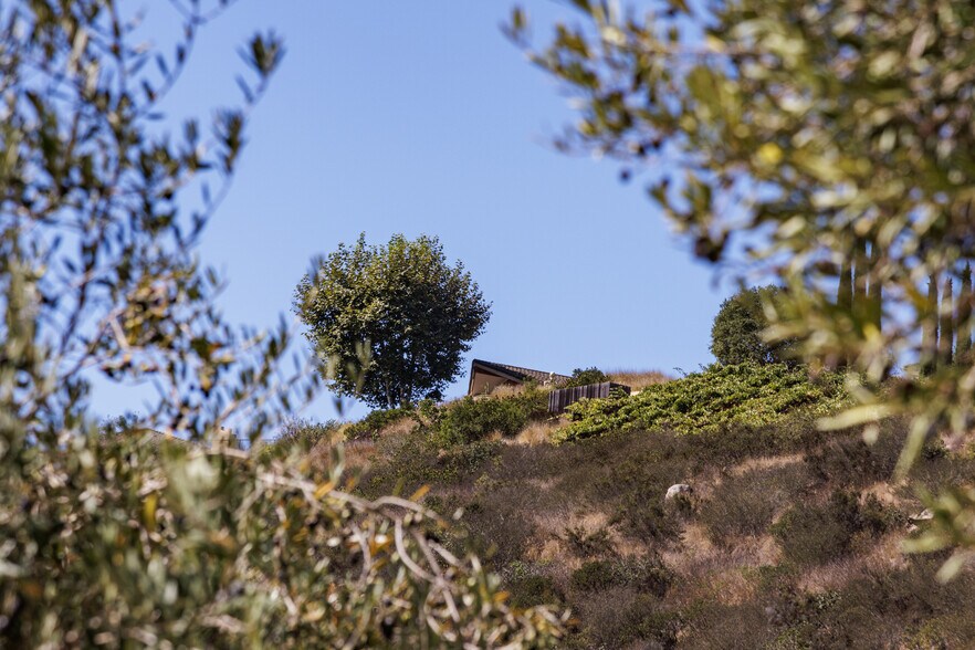 More Photos Of 2286 Sunshine Mountain Rd, San Marcos Winery Vineyard For Sale