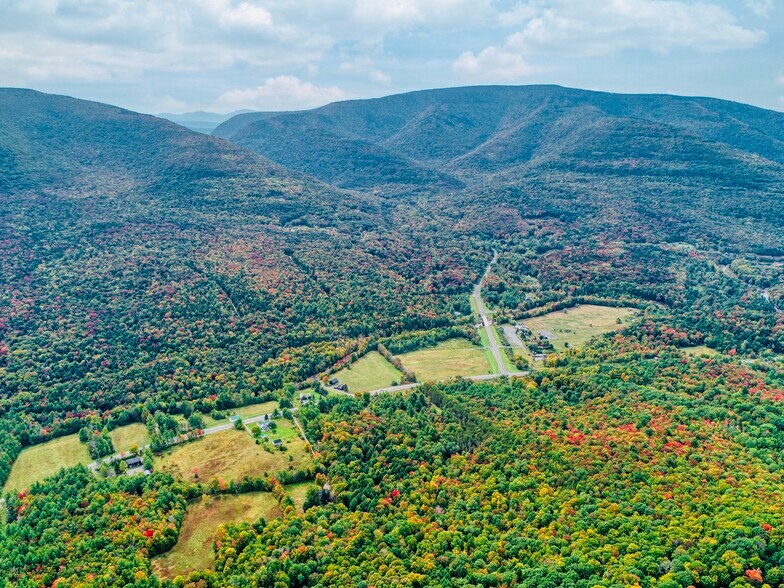 More Photos Of 7006 Route 23A, Hunter Land For Sale