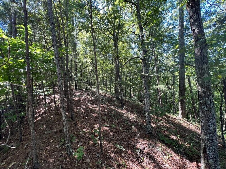 More Photos Of 16 Hawks Branch #123, White Land For Sale