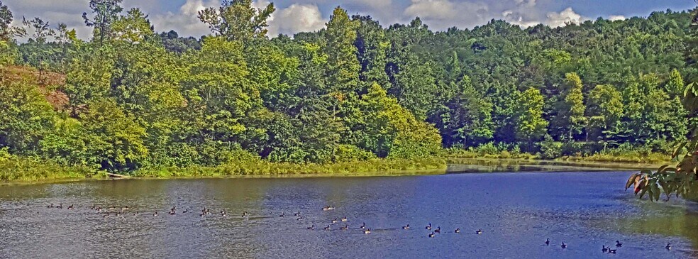 More Photos Of 564 W Main St, Yanceyville Land For Sale