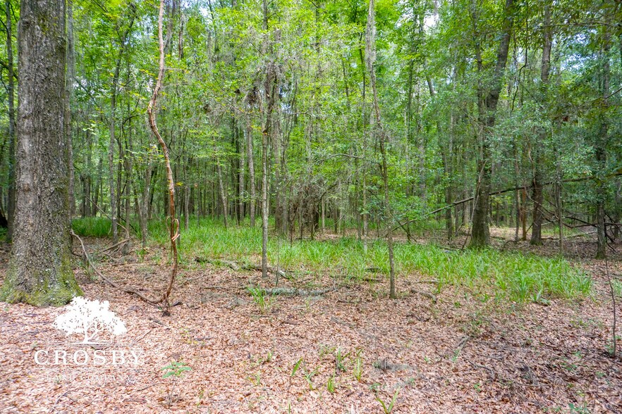 More Photos Of 3009 Lowcountry Drive, Ridgeland Land For Sale