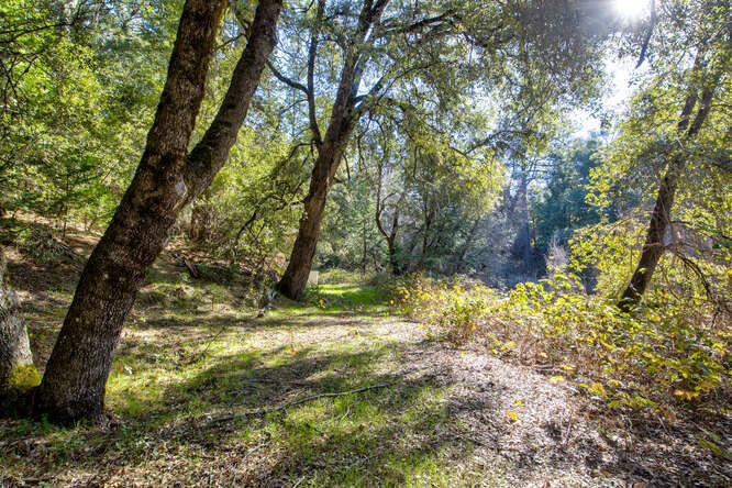 More Photos Of 3900 Tawanka Rd, Somerset Land For Sale