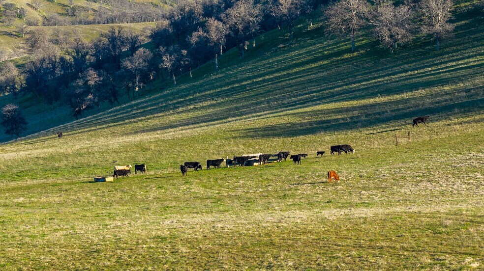 More Photos Of 3546 Huffmaster rd, Stonyford Land For Sale