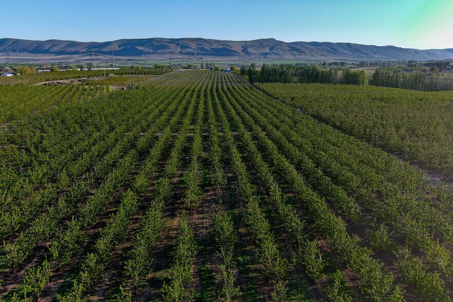 More Photos Of 14306 W Acord Rd, Benton City Land For Sale