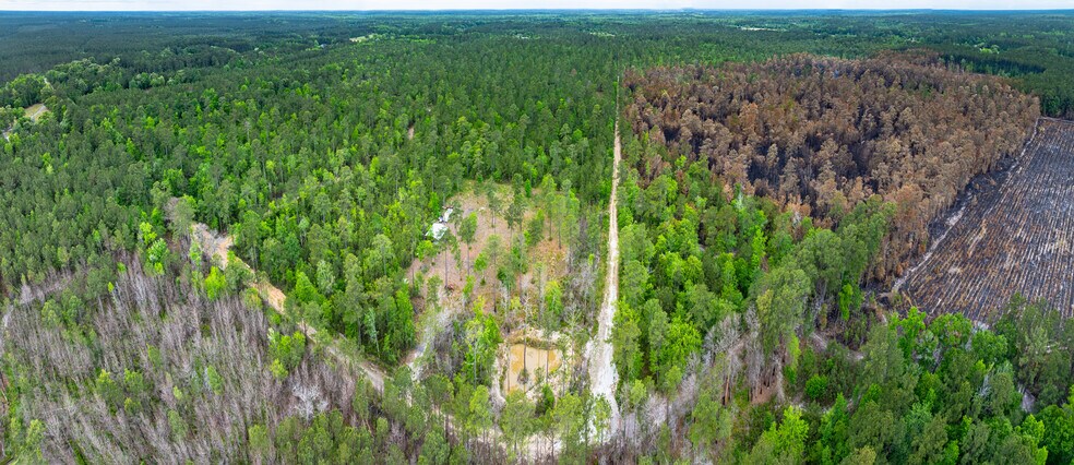 More Photos Of 00 Rice Rd, Ridgeville Land For Sale