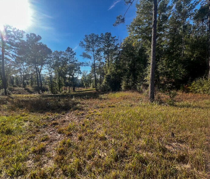 More Photos Of 0 Highway 198, Lucedale Land For Sale