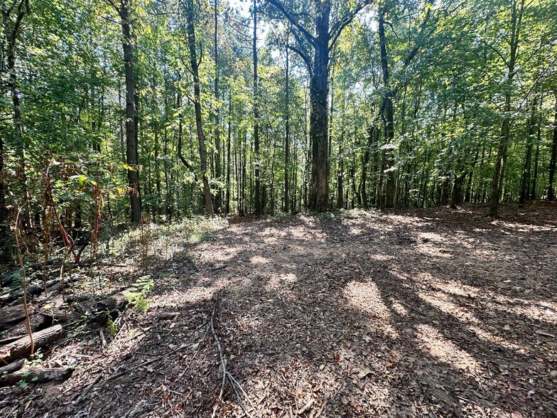 More Photos Of 7330 Frix Rd, Cumming Land For Sale