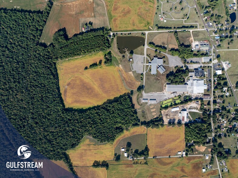 More Photos Of , Philpot Unknown For Sale