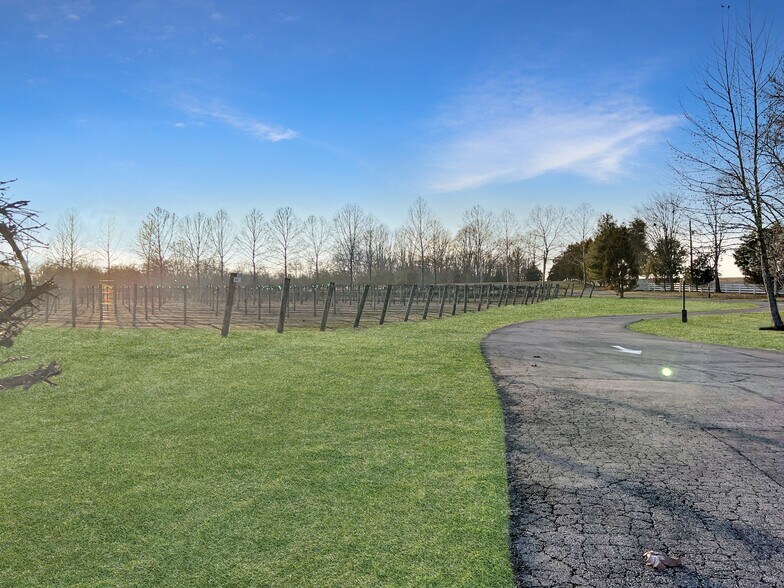 More Photos Of 2982 Harvey Bowden Rd, Paris Winery Vineyard For Sale