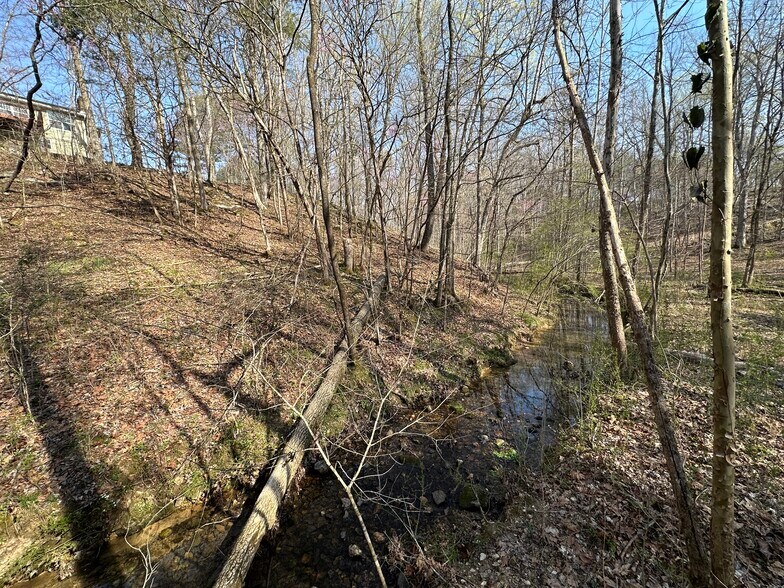 More Photos Of 7312 Highway 60, Georgetown Land For Sale