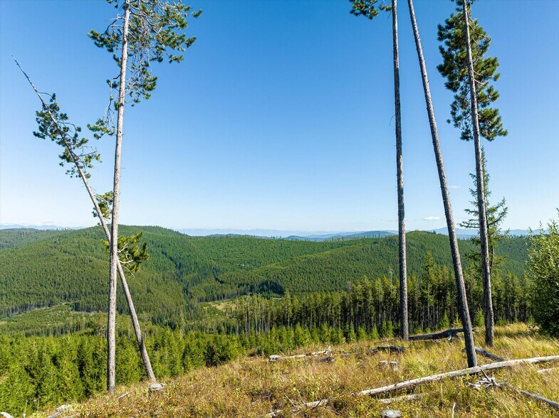 More Photos Of Nhn Logan Creek Road, Kila Land For Sale