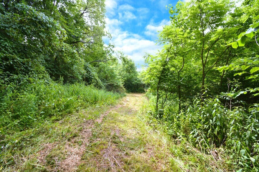 More Photos Of 250 Main st, Mount Gilead Land For Sale