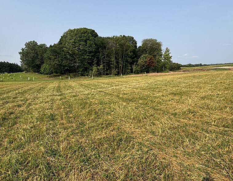 More Photos Of 4021 Woodland Rd, Green Bay Land For Sale