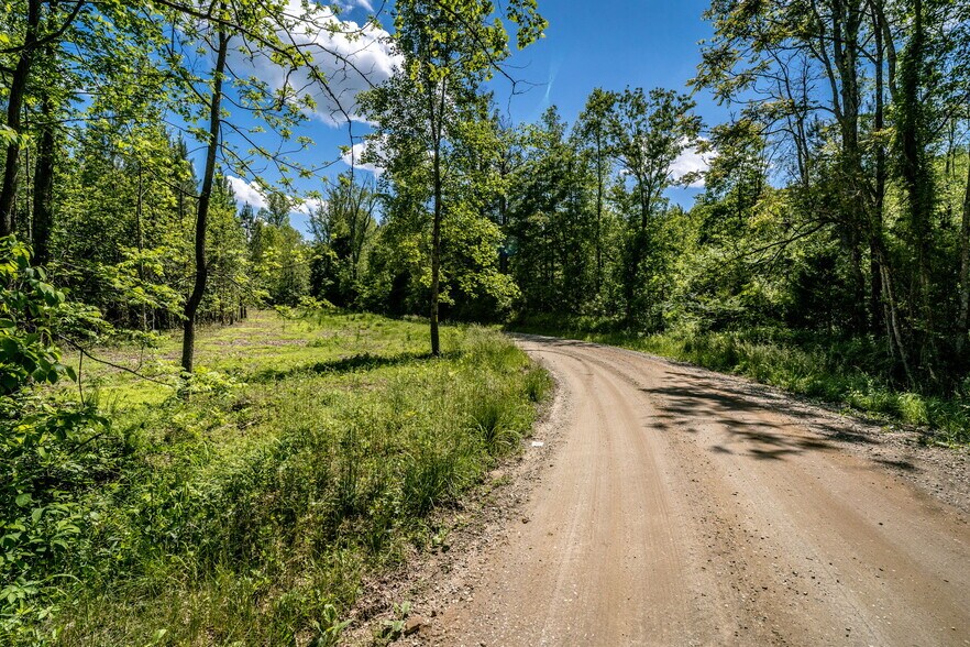 More Photos Of tbd Green Creek Rd, Schuyler Land For Sale