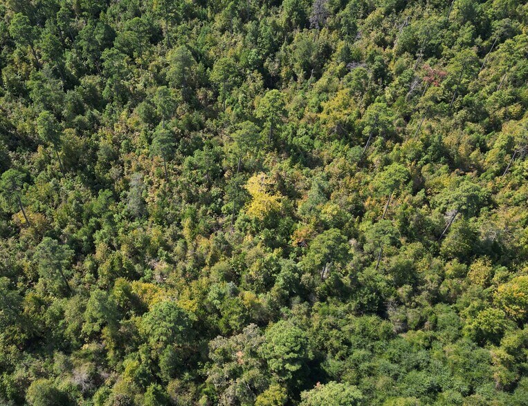 More Photos Of TBD Texas 43 hwy, Bivins Land For Sale