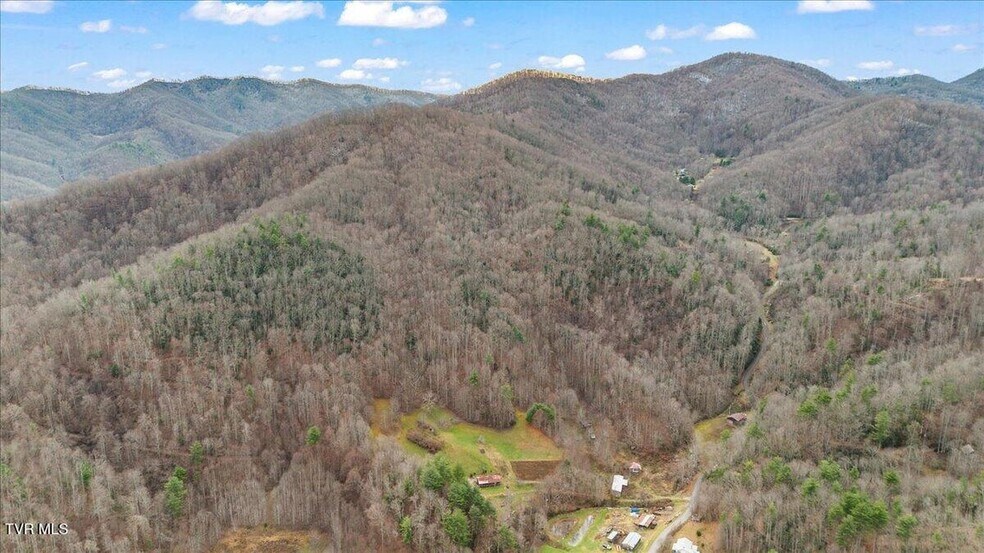 More Photos Of TBD Stockton Rd rd, Flag Pond Land For Sale