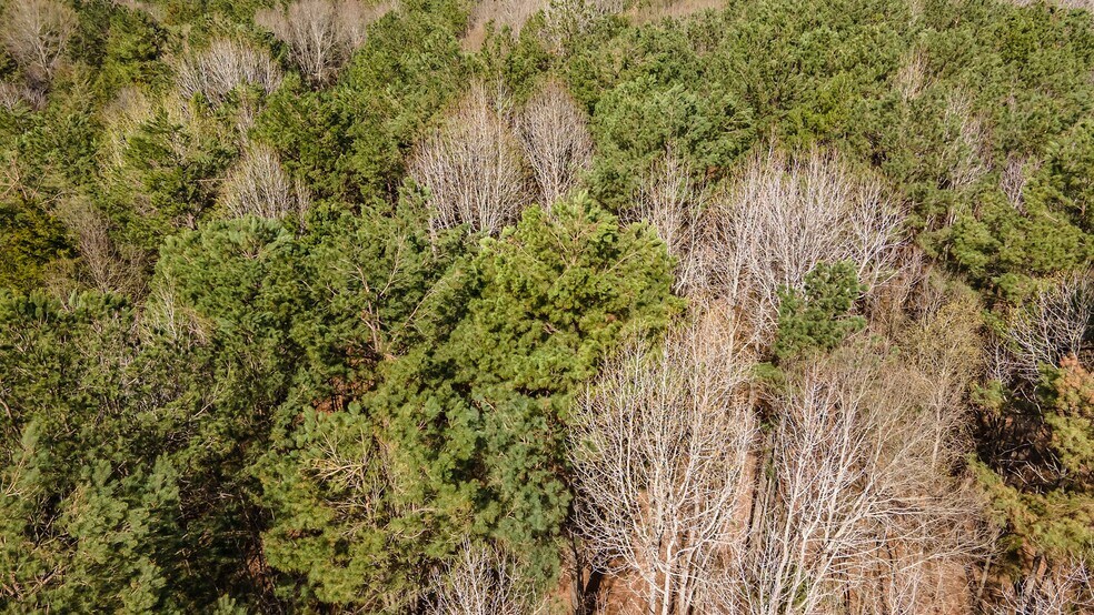 More Photos Of 16558 State Highway 155, Tyler Land For Sale