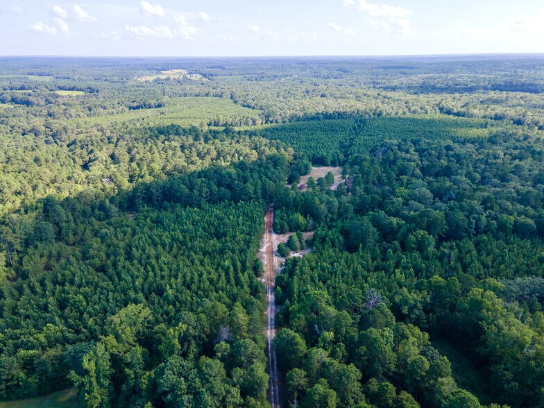 More Photos Of 2539 FM 995, Atlanta Land For Sale