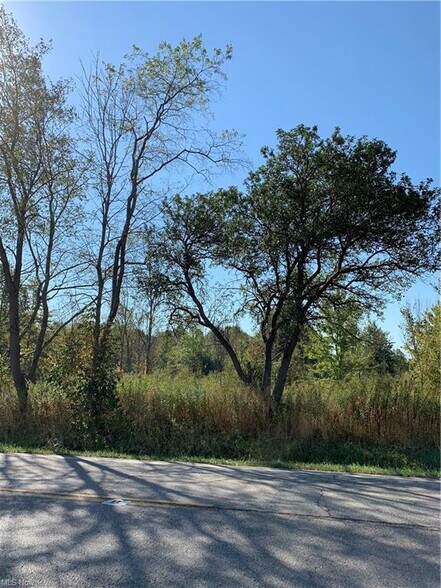 More Photos Of Bryant & SR 82 rd, Garrettsville Land For Sale