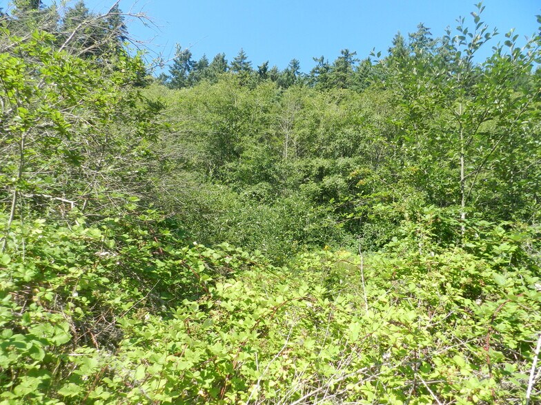 More Photos Of 7th, Poulsbo, WA 98370, Poulsbo Land For Sale