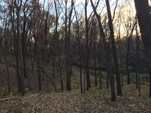 More Photos Of 16090 Crystal Ln, Council Bluffs Land For Sale