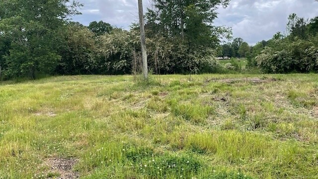 More Photos Of 2742 King Rd, Forest Land For Sale