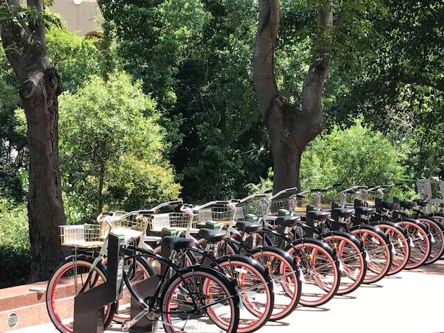 More Photos Of 333 W San Carlos St, San Jose Unknown For Lease