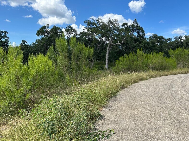 More Photos Of 1728 Chardonnay, Canyon Lake Land For Sale