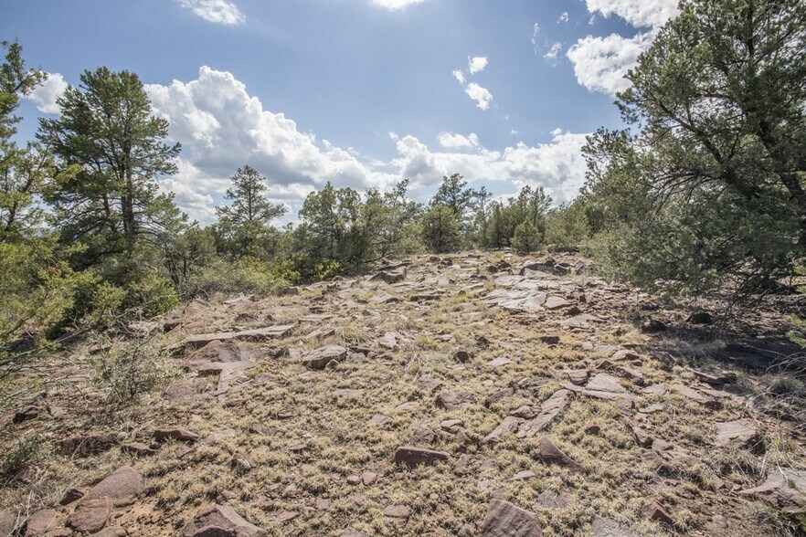 More Photos Of 1200 Airport, Payson Land For Sale