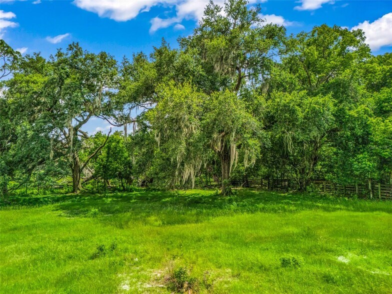 More Photos Of CR 738, Webster Land For Sale