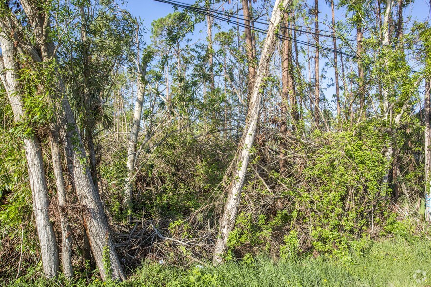 More Photos Of Tamiami Trl E, Naples Land For Sale