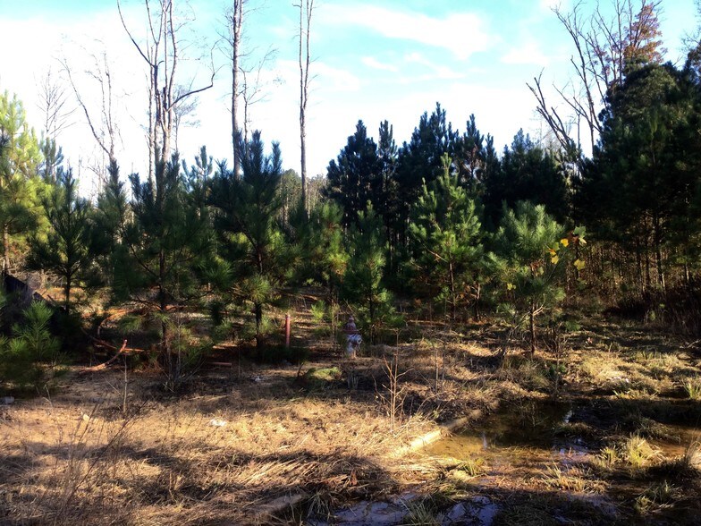 More Photos Of 400 Whitfield Dr, Dallas Land For Sale