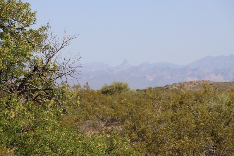 More Photos Of 12880 E Jomax Rd, Scottsdale Land For Sale