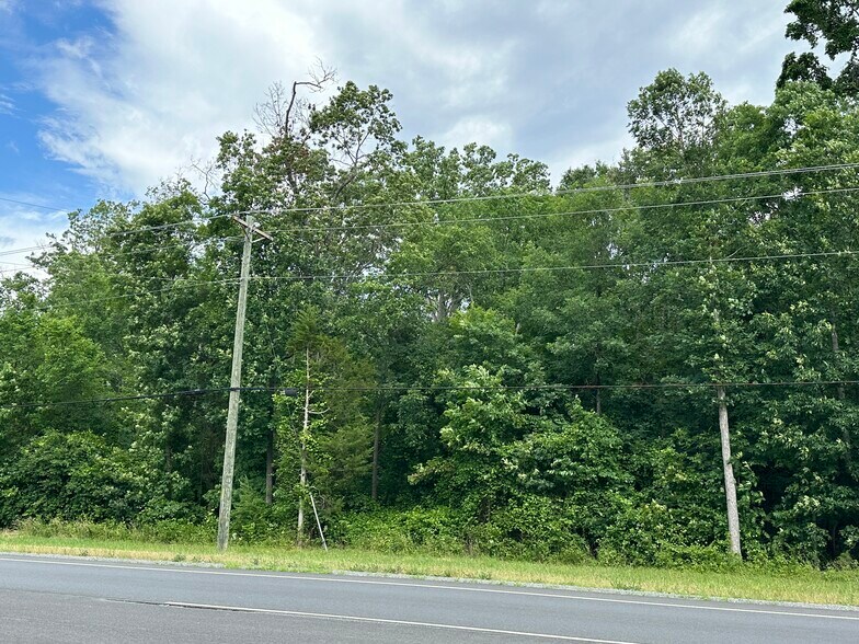 More Photos Of 7503 James Madison hwy, Gainesville Land For Sale