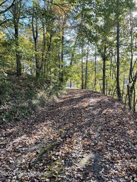 More Photos Of 370 Gracie Ln, Caneyville Land For Sale