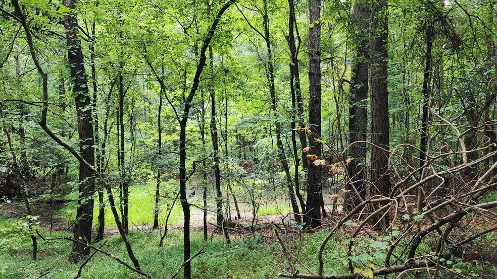 More Photos Of 1661 Friendship Rd, Hoschton Land For Sale