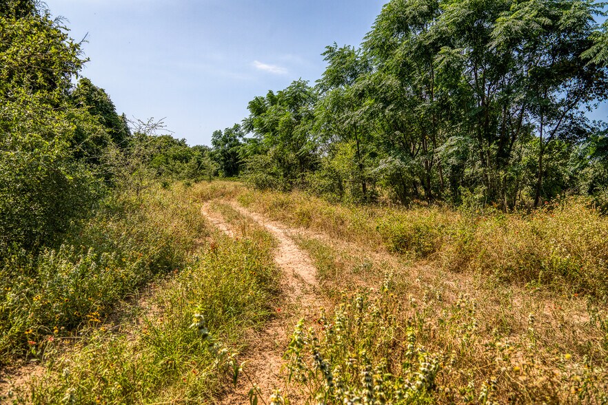 More Photos Of TBD (+/-88 Acres) Smith Rd, Bastrop Land For Sale