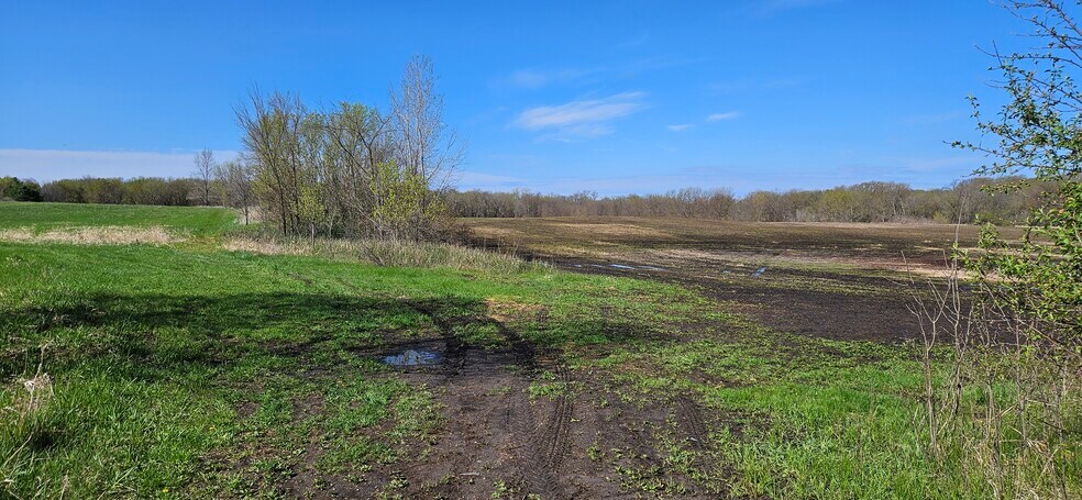 More Photos Of XXX Newton Avenue Southeast, Watertown Land For Sale