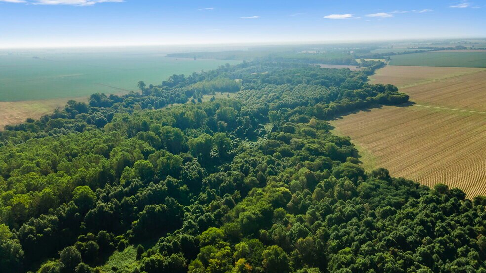 More Photos Of 2948 State Highway V, Matthews Light Manufacturing For Sale